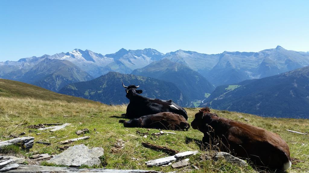 Ferienwohnungen Tiroler Alpenhof Innsbruck Exteriér fotografie
